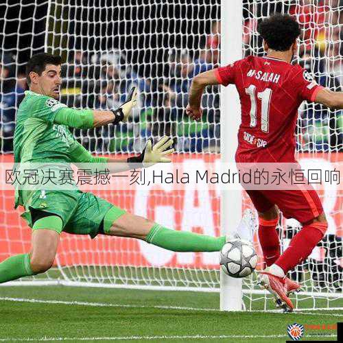 欧冠决赛震撼一刻,Hala Madrid的永恒回响