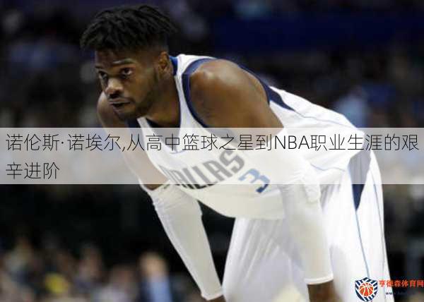 诺伦斯·诺埃尔,从高中篮球之星到NBA职业生涯的艰辛进阶