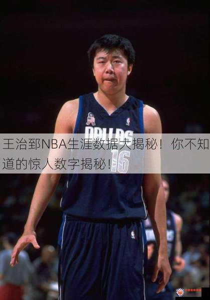 王治郅NBA生涯数据大揭秘！你不知道的惊人数字揭秘！