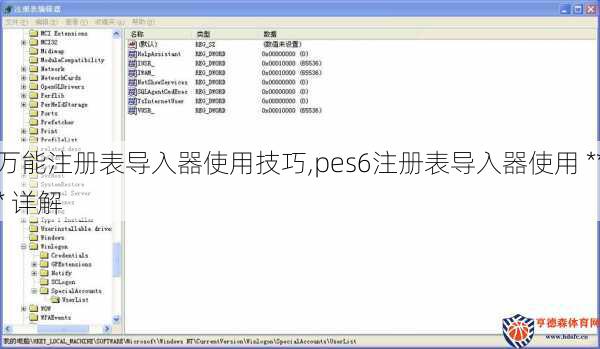 万能注册表导入器使用技巧,pes6注册表导入器使用 *** 详解