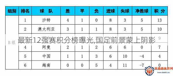 最新12强赛积分榜曝光,国足前景蒙上阴影