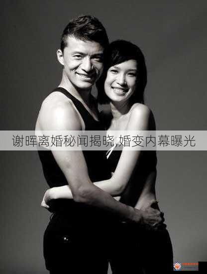 谢晖离婚秘闻揭晓,婚变内幕曝光