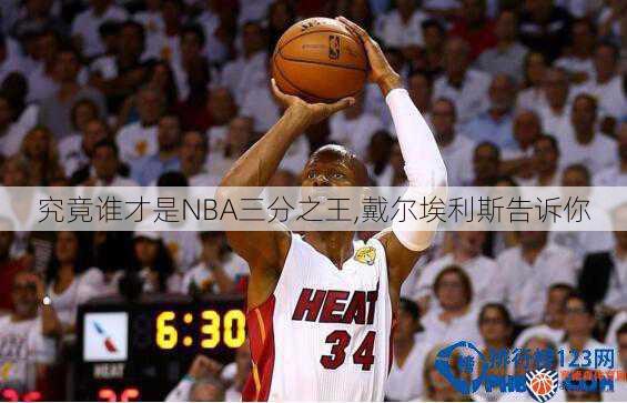 究竟谁才是NBA三分之王,戴尔埃利斯告诉你