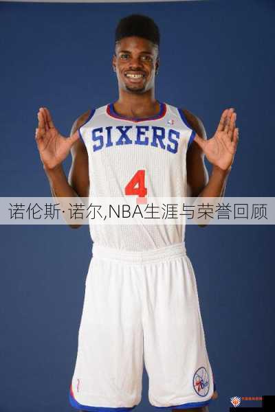 诺伦斯·诺尔,NBA生涯与荣誉回顾