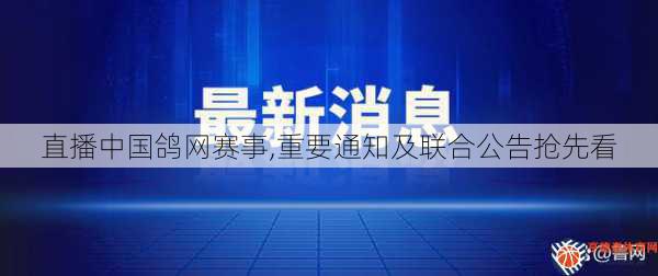 直播中国鸽网赛事,重要通知及联合公告抢先看