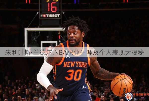 朱利叶斯·兰德尔,NBA职业生涯及个人表现大揭秘