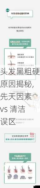 头发黑粗硬原因揭秘,先天因素 vs 清洁误区