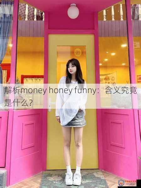 解析money honey funny：含义究竟是什么？