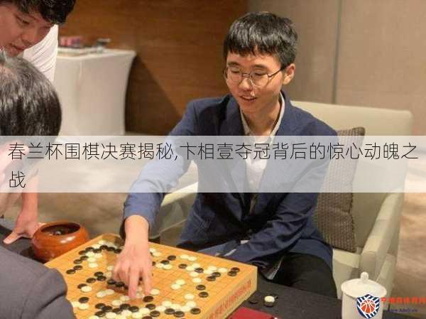 春兰杯围棋决赛揭秘,卞相壹夺冠背后的惊心动魄之战