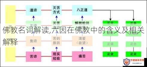 佛教名词解读,六因在佛教中的含义及相关解释