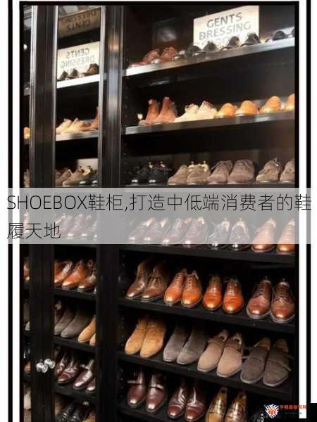 SHOEBOX鞋柜,打造中低端消费者的鞋履天地